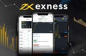 Comprehensive Guide to Exness Accounts