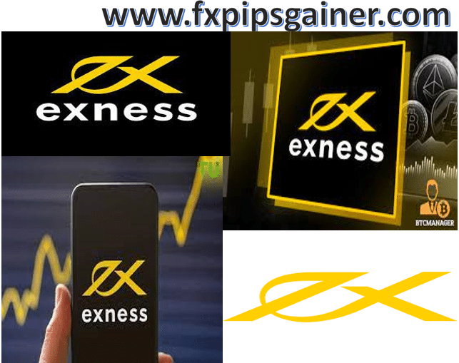 Comprehensive Guide to Exness Accounts