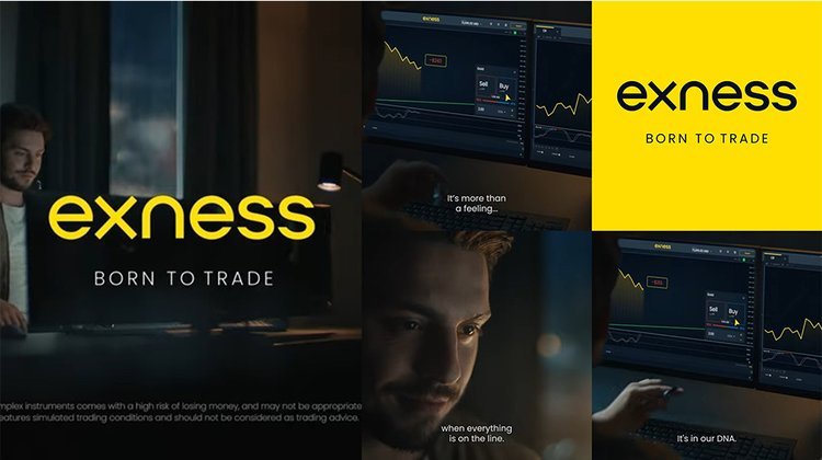Comprehensive Guide to Exness Accounts
