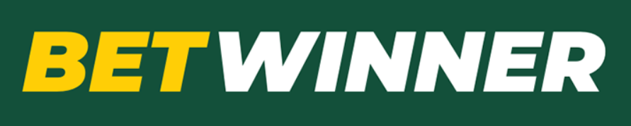 Tout ce que vous devez savoir sur le casino