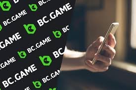 Comprehensive Reviews About BC.Game Azerbaijan User Experiences and Insights