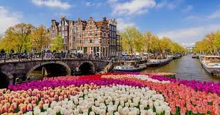 Oplossingen voor Burn-out en Vermoeidheid Herstel Je Energie