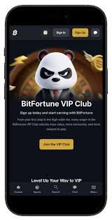 Understanding the Bitfortune Live Gaming Payment Flow