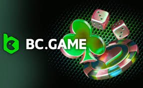 भारत में BC.GAME के भुगतान के तरीके