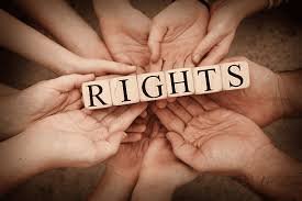 Contact a Human Rights Lawyer Your Guide to Legal Support 1353616754