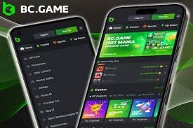 Discovering BCGame India A New Era in Online Gaming