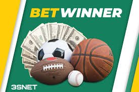 Exploring the BetWinner Casino Platform