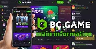 Revolutionizing Online Gaming The BC.Game App Experience