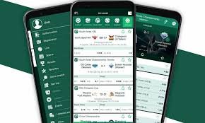 BetWinner Egypt The Ultimate Betting Experience