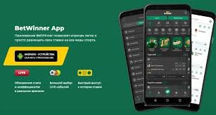 Comprehensive Guide to BetWinner Withdrawal Options -856083136