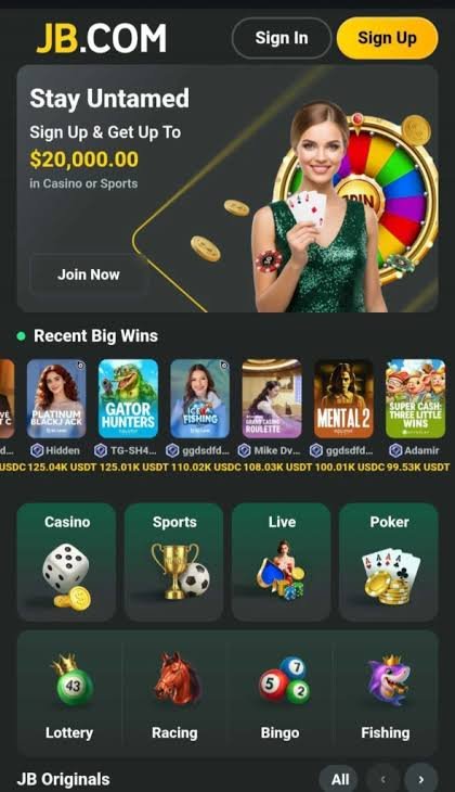 JB Casino Platform in India A Comprehensive Guide