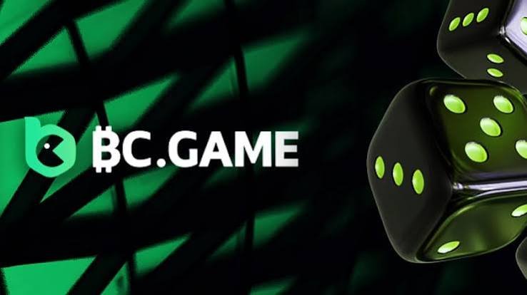 Experience the Thrill of Gaming at BC.Game Online Platform