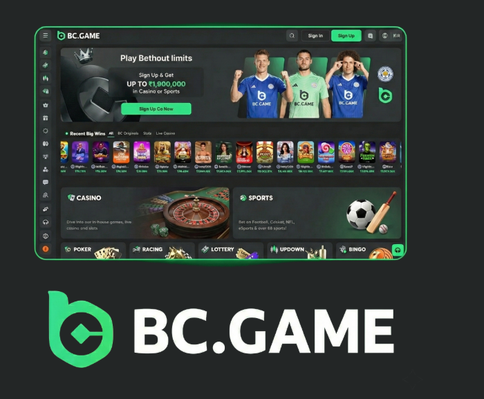 Exploring BC.Game A New Era of Online Gaming in Spain