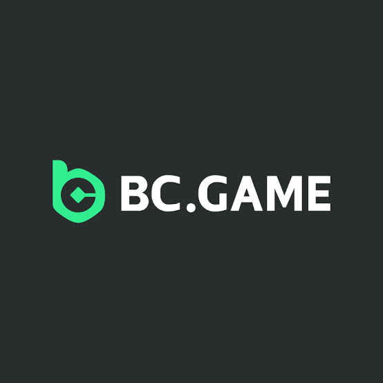 Understanding the BC.Game Login Process A Step-by-Step Guide -231403619